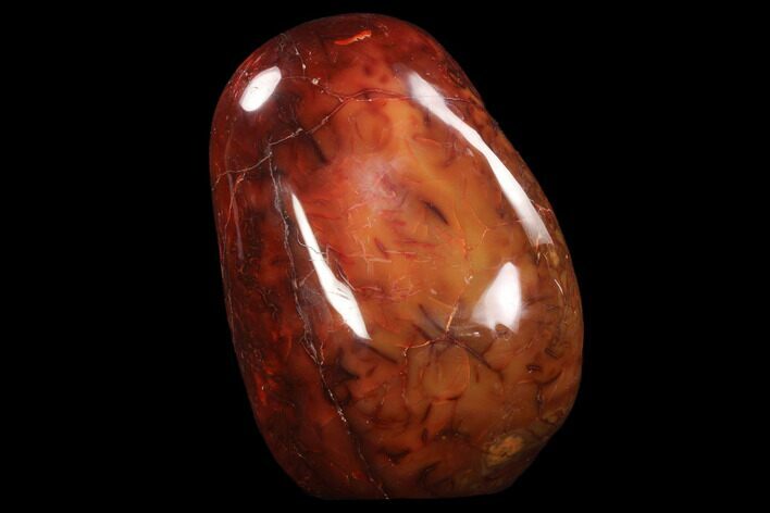 Tall, Free-Standing, Polished Carnelian Agate #91506